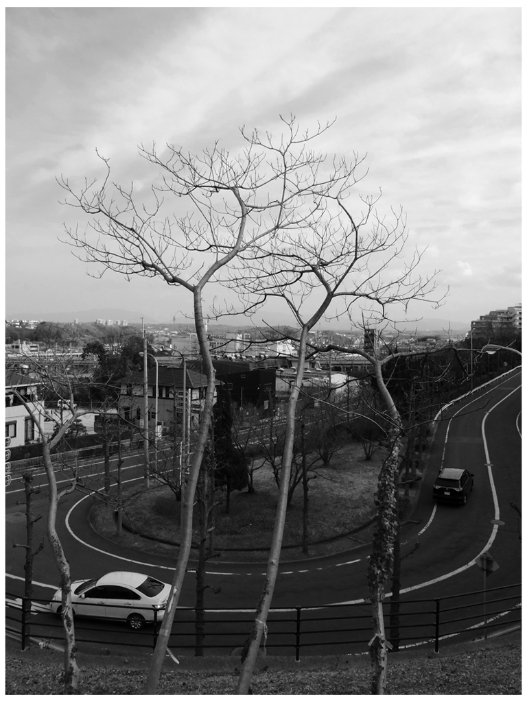 私の住む町散策