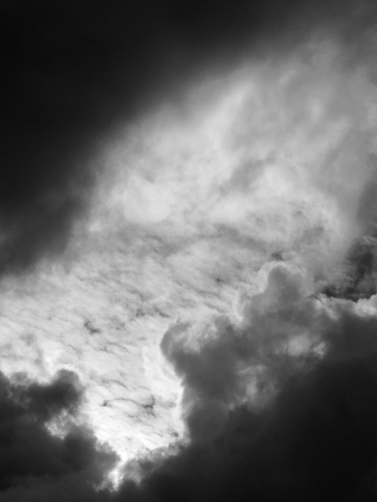 猫雲