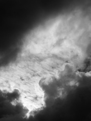 猫雲