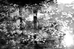 水辺
