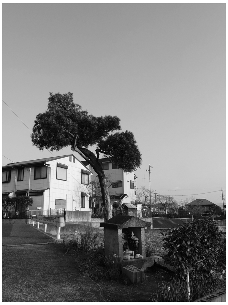 私の住む町散策