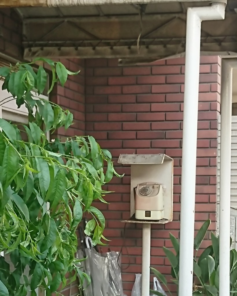 昭和の忘れ物･･･