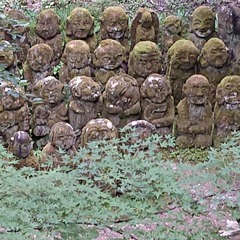 IMG_20190727_054555_192