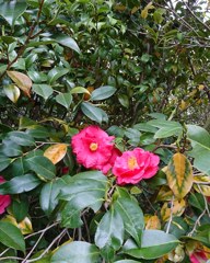 IMG_20180406_112516_117