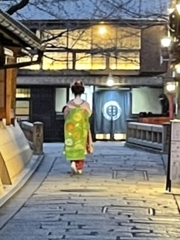新橋舞妓