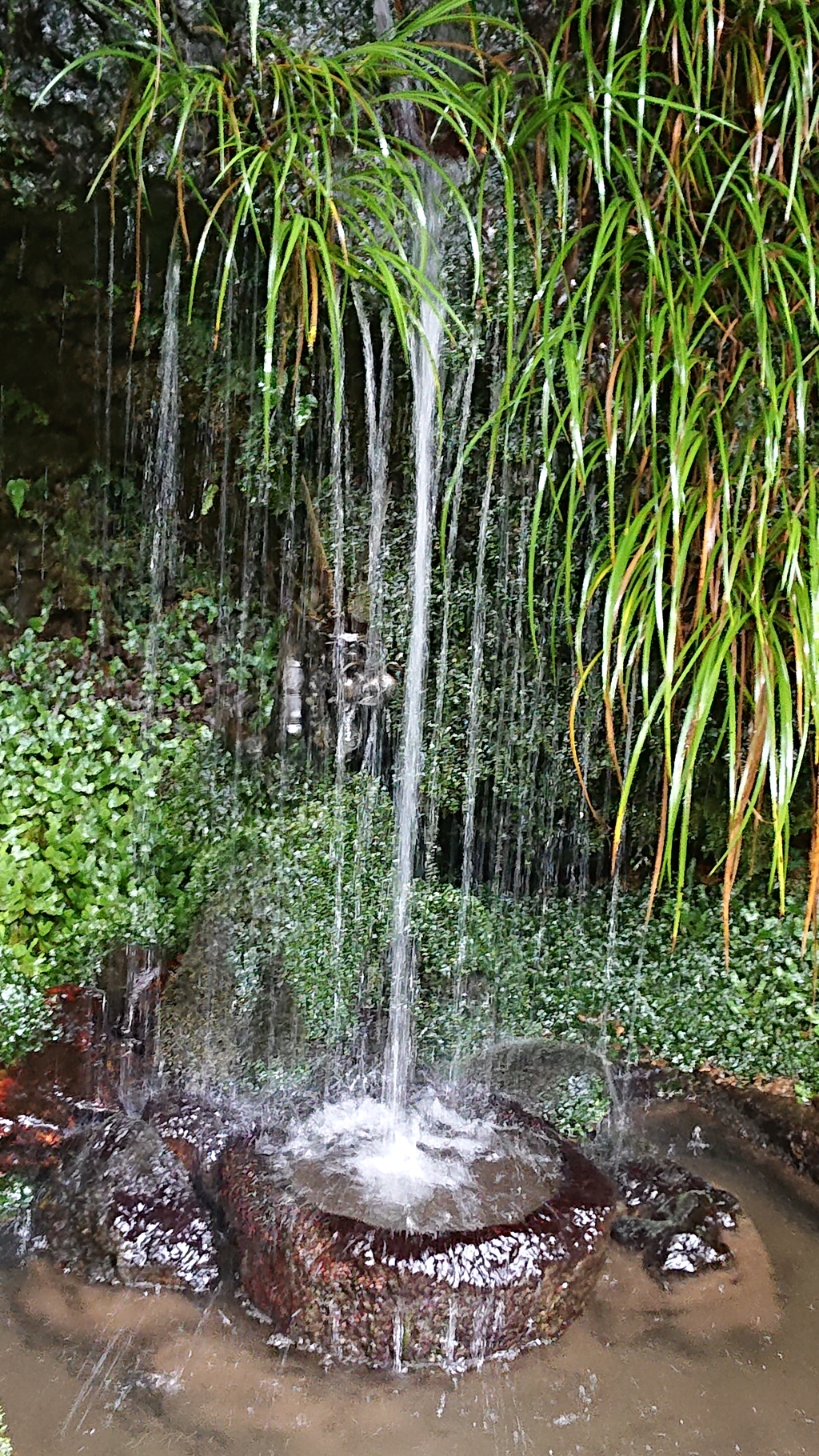 DSC_0264