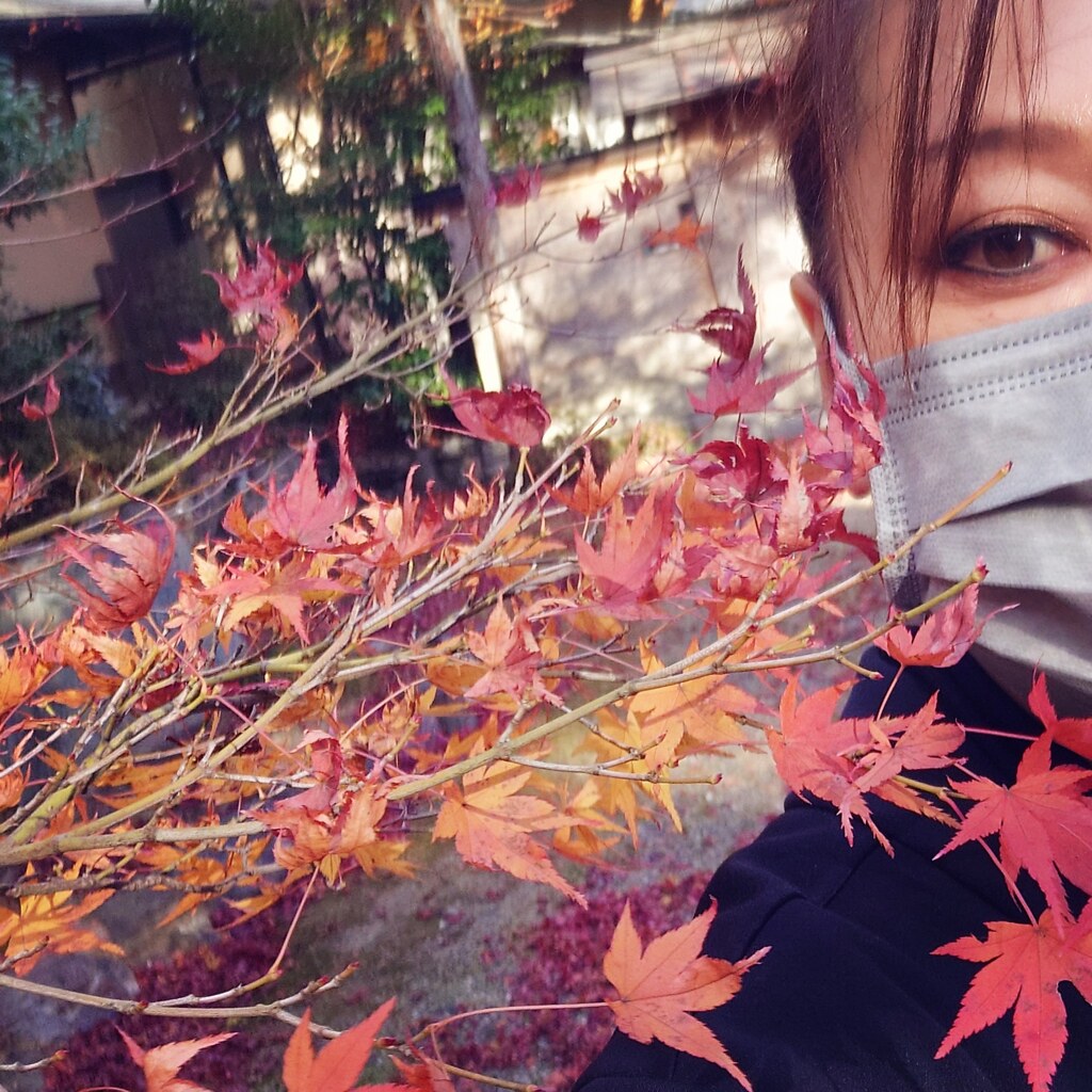 デイ紅葉ドライブ