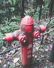 山の中の消火栓