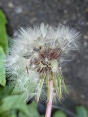 雨上がり