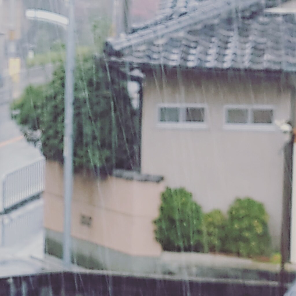 ただただ 雨 ･･･