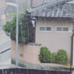 ただただ 雨 ･･･