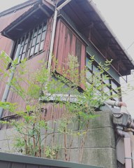昭和漂う･･･