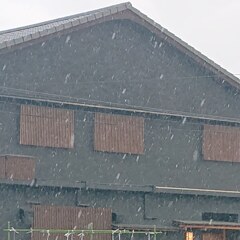 あられ雪