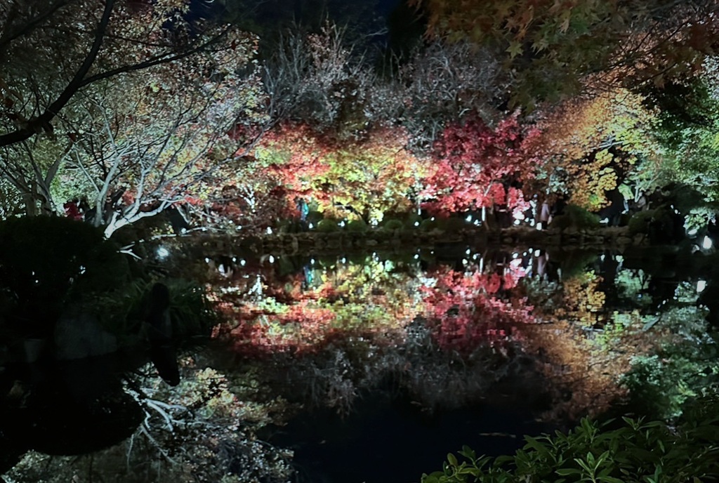 東寺 ライトアップ