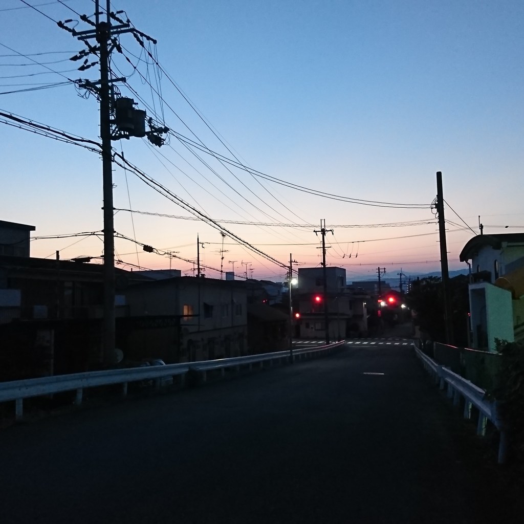 朝の散歩