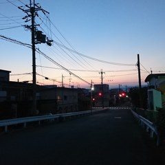 朝の散歩