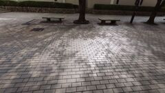 木漏れ日の影