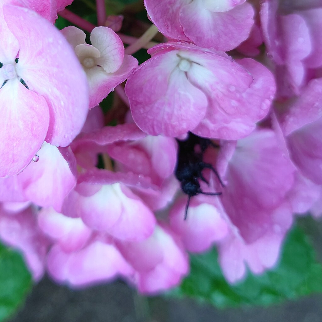 雨宿り