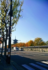 東寺