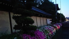 IMG_20190504_210745_689