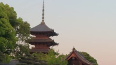 IMG_20190504_210745_672