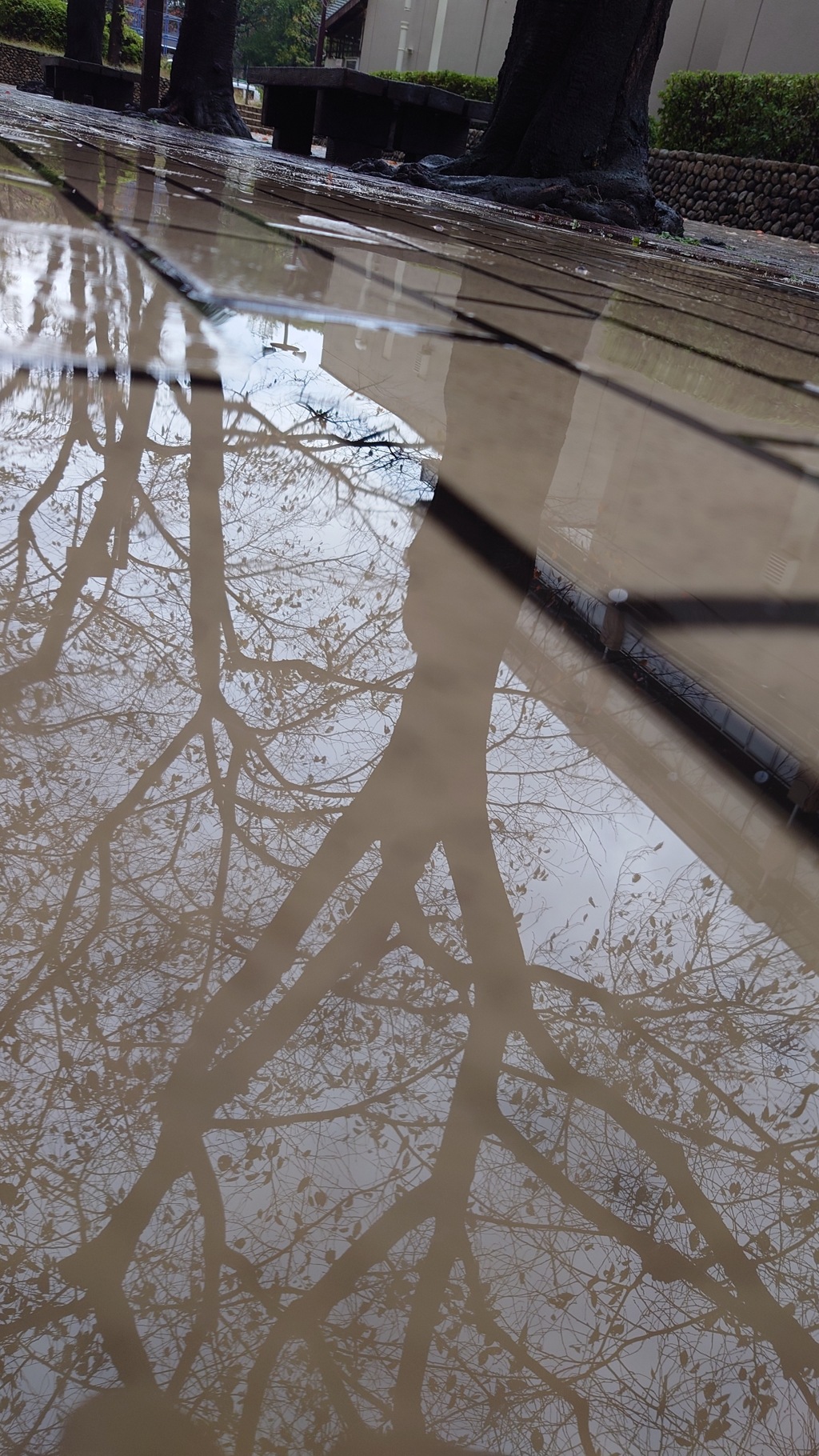 雨やんだ
