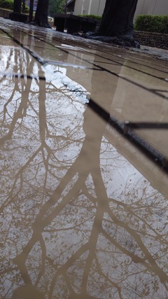 雨やんだ
