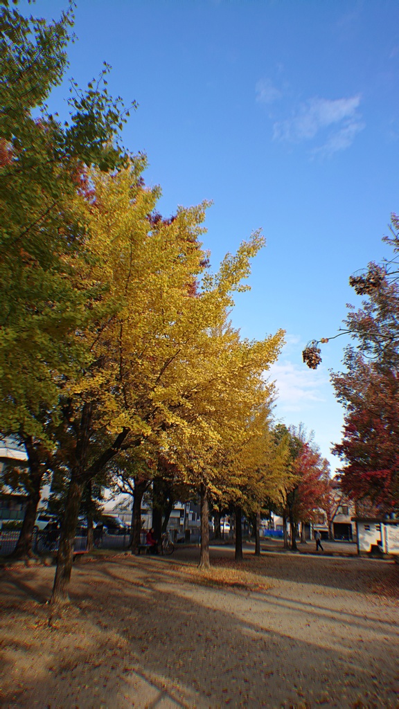 通学路で･･･