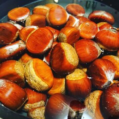 秋の味覚
