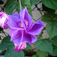 IMG_20180716_053648_296