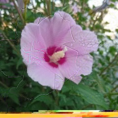 IMG_20180716_094557_482