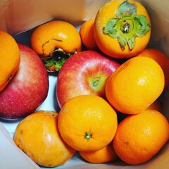 頂き物