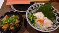 白子 雲子