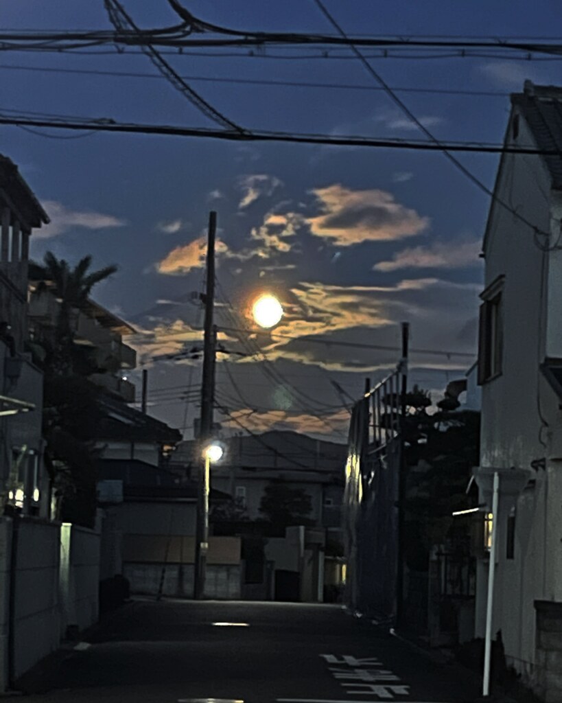 昨夜の満月