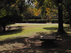 静かな公園