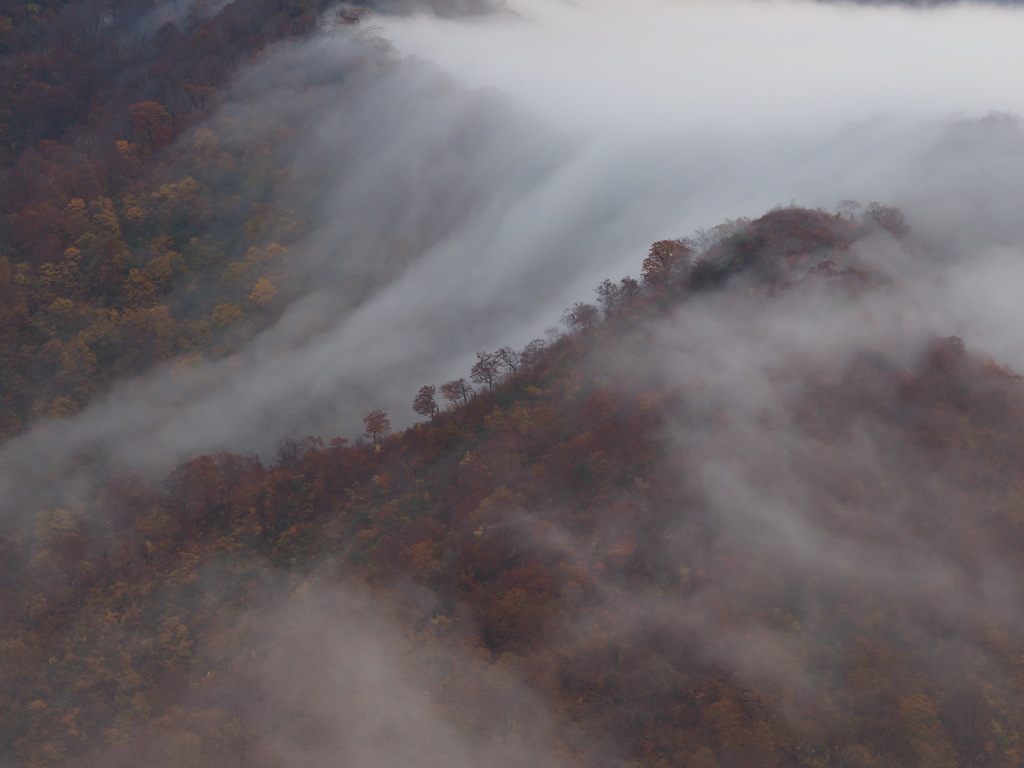 滝雲枝折峠