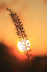 夕暮れ…