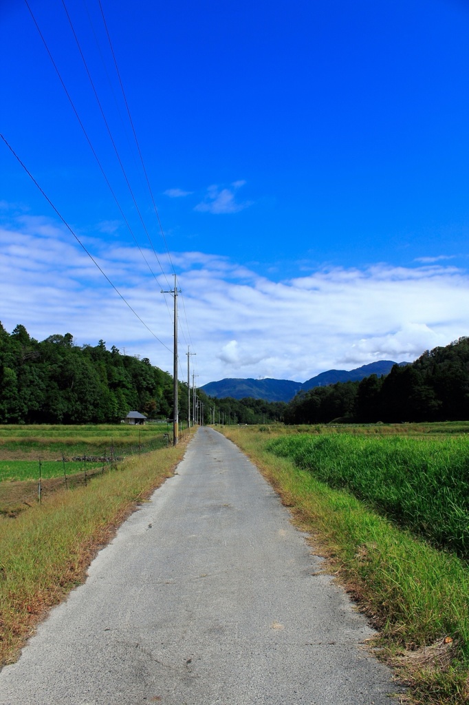 山へと続く道