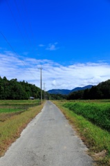 山へと続く道