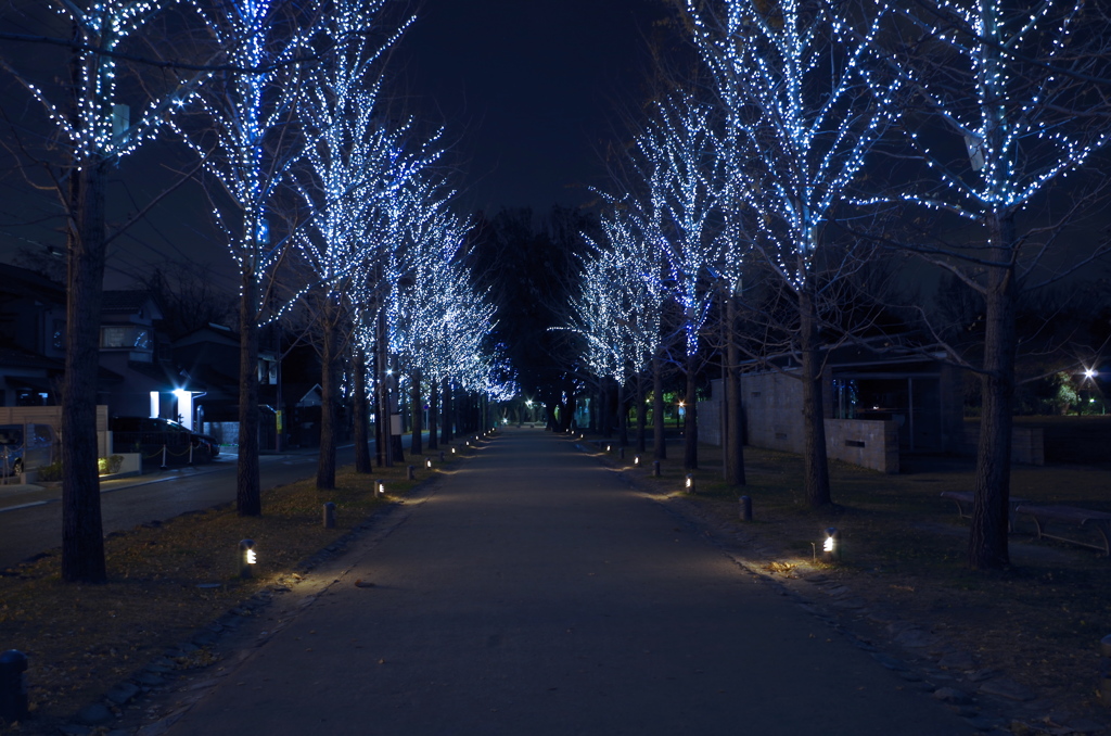 イルミネーション1