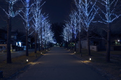 イルミネーション1