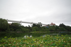 千葉公園