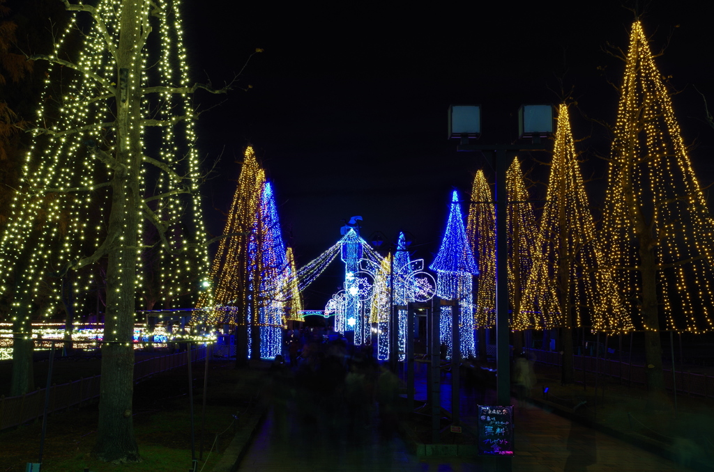 木曽三川公園ライトアップ４