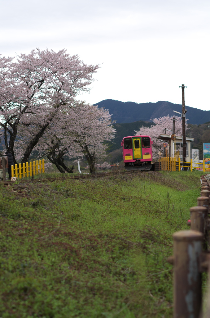 木知原①