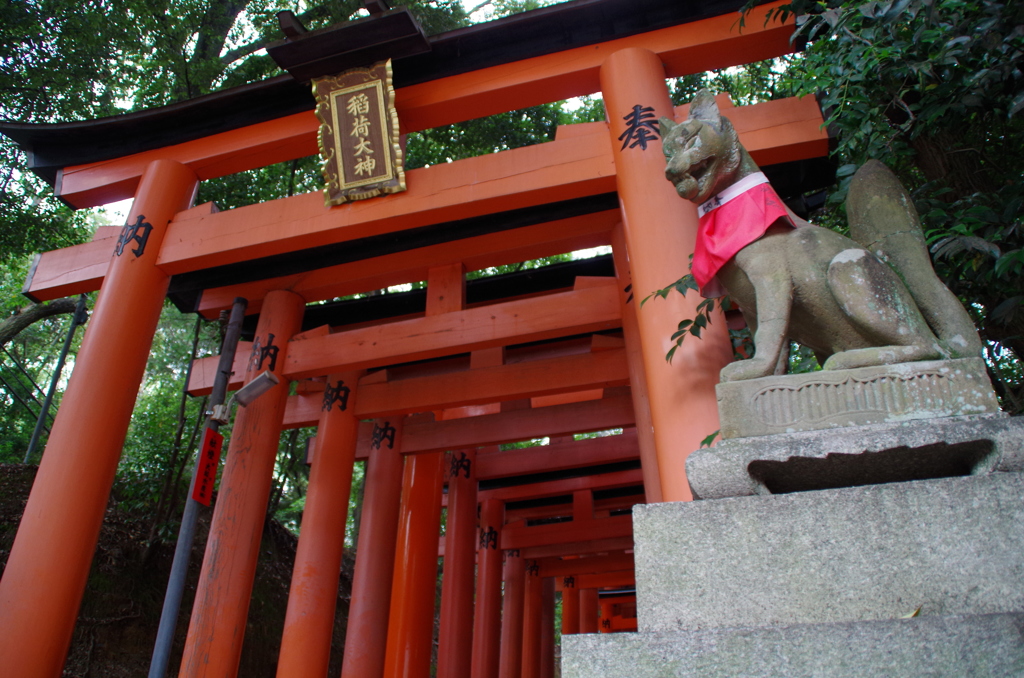 京都４