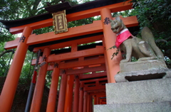 京都４