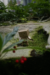 ダンボーIN花フェスタ記念公園