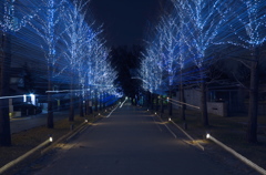 イルミネーション2