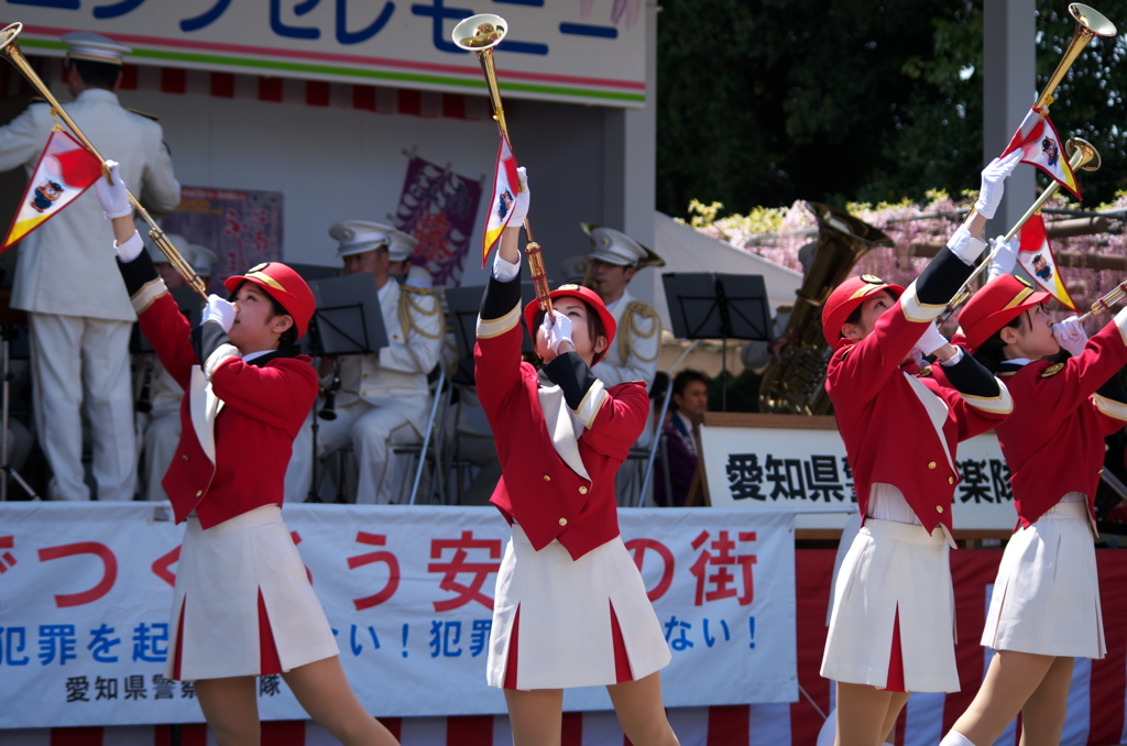 第50回江南藤まつり④