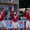 第50回江南藤まつり④